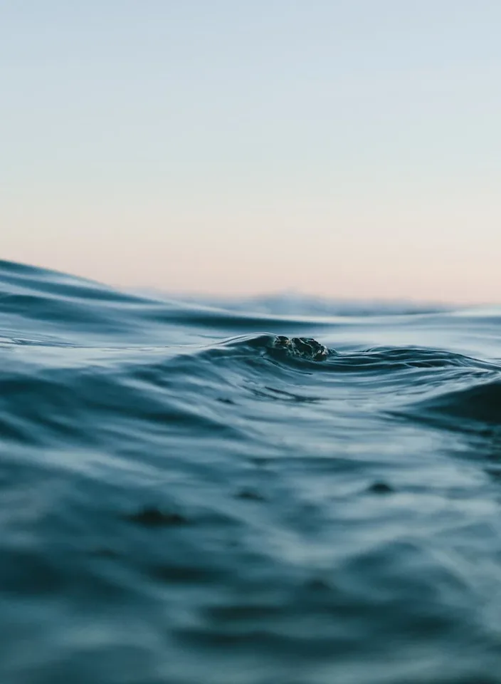 The surface of a slow ocean swell at dusk